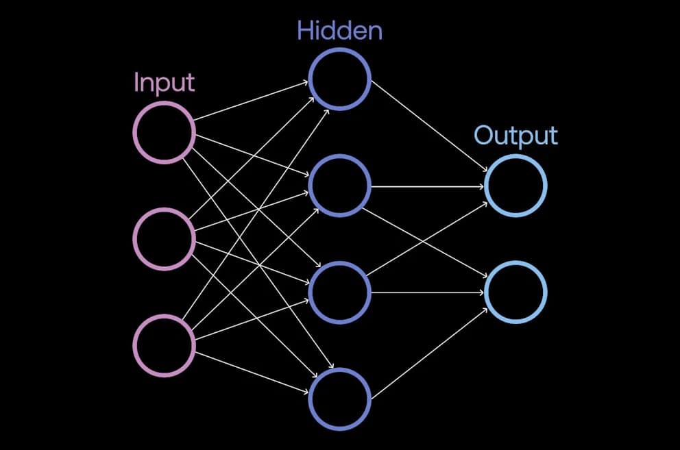 convolutional neural network